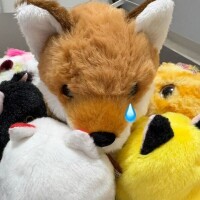 すみません💦😢