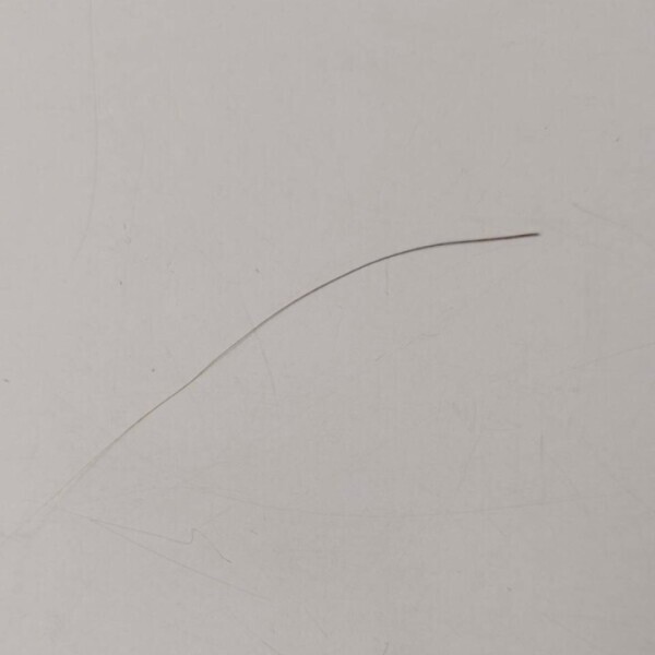 本日＆明日出勤^o^