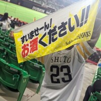 野球観戦しながらのビール🍻がスキ♡