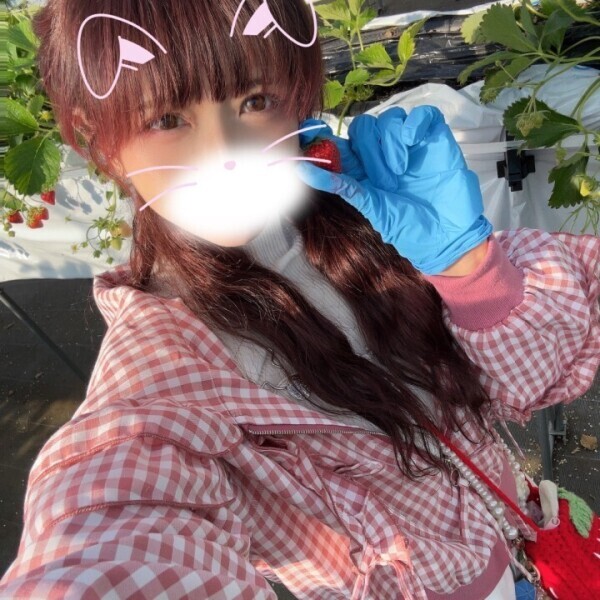 プラベのうさぎさん🐰今日いるよ