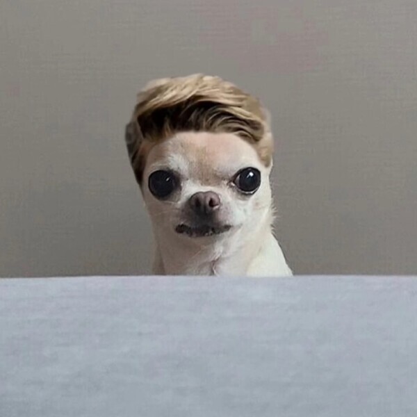 今日の出勤遅れてます😭