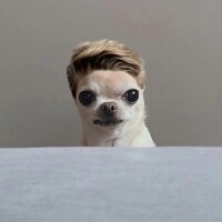 今日の出勤遅れてます😭