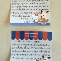 昨日のお礼🤍🪽