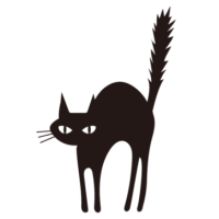 4回目のテスト投稿