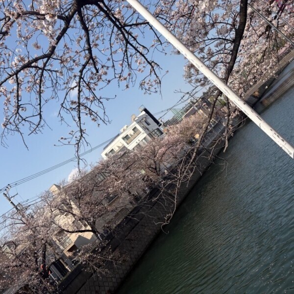 花より₍₍ (ง* ॑꒳ ॑*)ว ⁾⁾