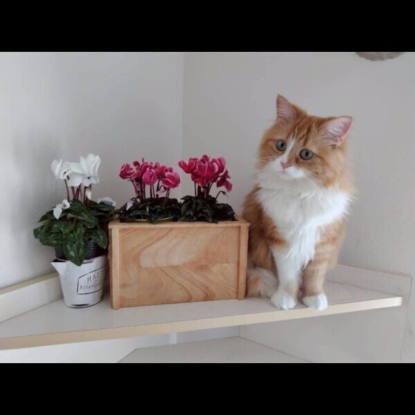 必読🙇🏻‍♀️