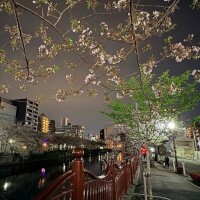 たまき