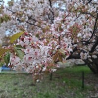 こんばんは🌛