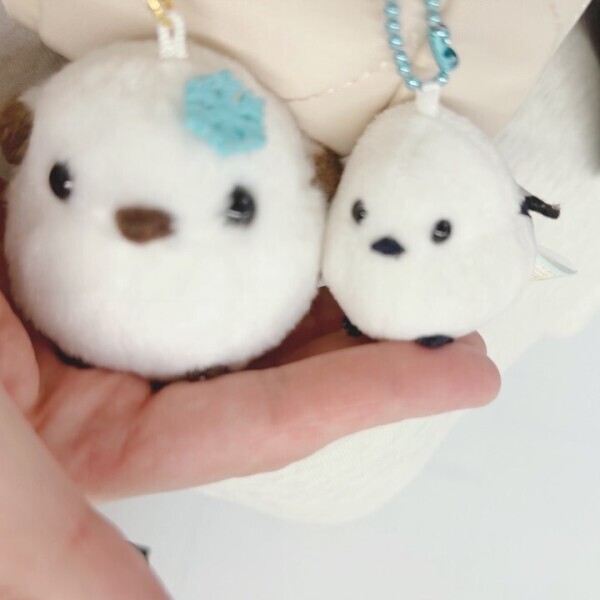 ススキノは曇り(たまに何か落ちてくる)