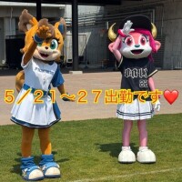 ミルク