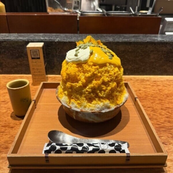 氷活始動🧊