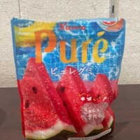 戻ったよー🍉