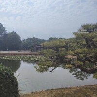 ぼちぼちで、、、🤭