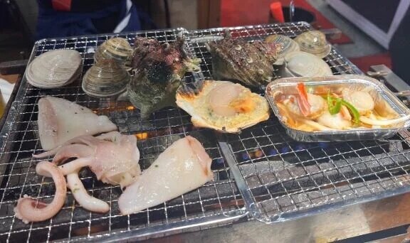 戻ったよー🐚