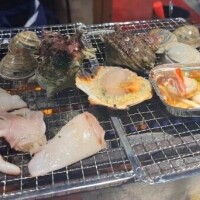 戻ったよー🐚