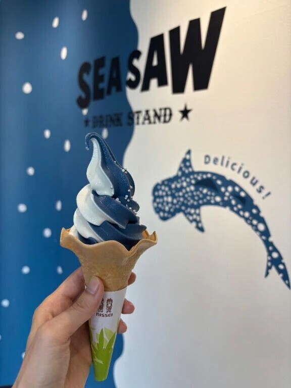 水族館🦈