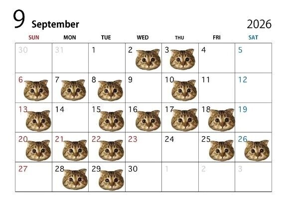 9月の出勤予定🙌
