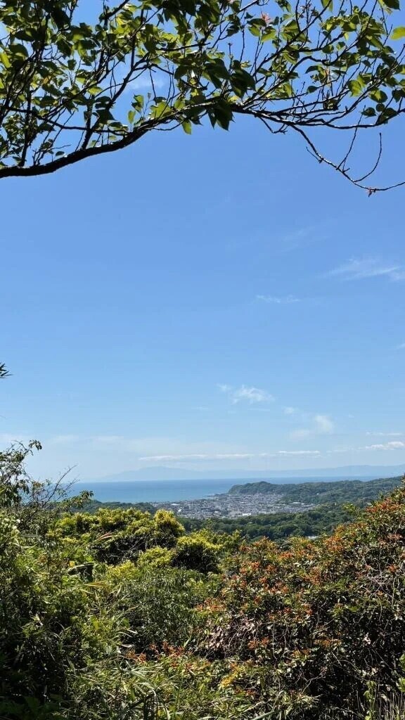 こんにちは☀️