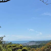 こんにちは☀️