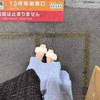 かわいい🤍