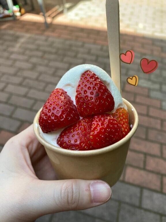 今日も今日とて