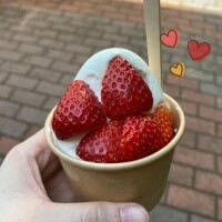 今日も今日とて