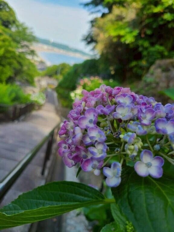 癒された💐