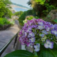 癒された💐