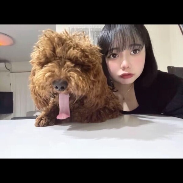 やっほー！🩶