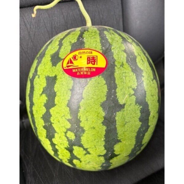 🍉
