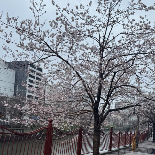 ありがとう😊