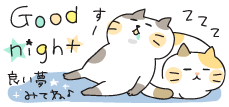 20250404_222609_bb7b6f77d326cdebf583c11c