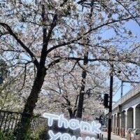 ゆず
