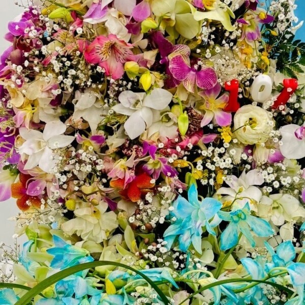 🌸⸜🌷︎⸝‍