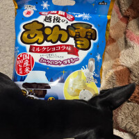 いちか