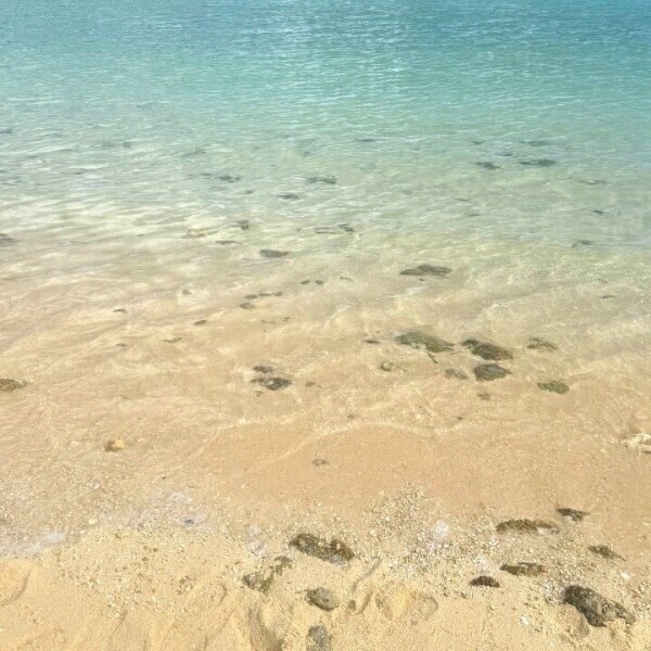 🌊