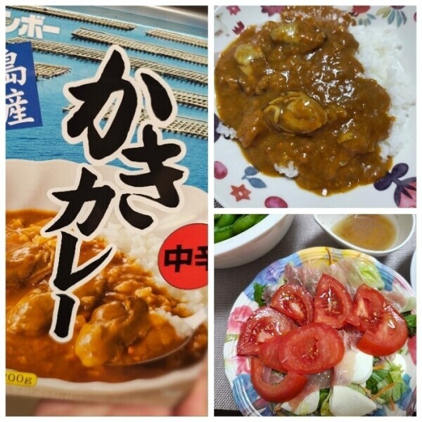昨日は本当にどこにも出かけなかったので