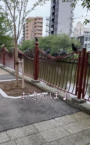 お久しぶりです(^.^)