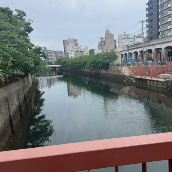 出勤したよんっ🫡