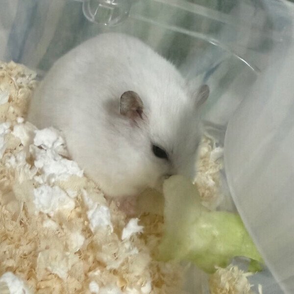 食欲の秋！！！