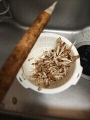 何を作ってるでしょうか？🐷