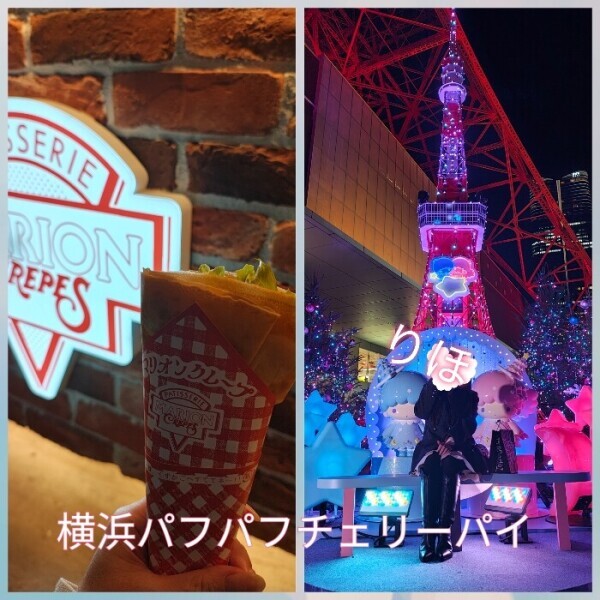 出不精なのですが🐷