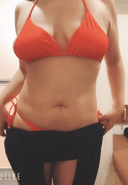 今年も頑張ります