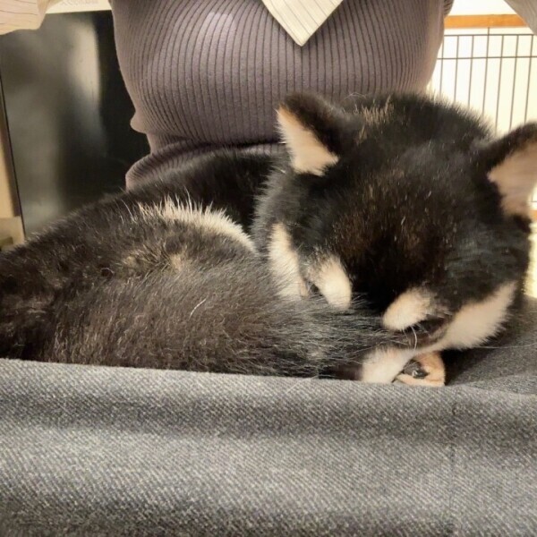 お休み頂いてます