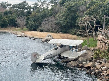 こんばんは⭐︎