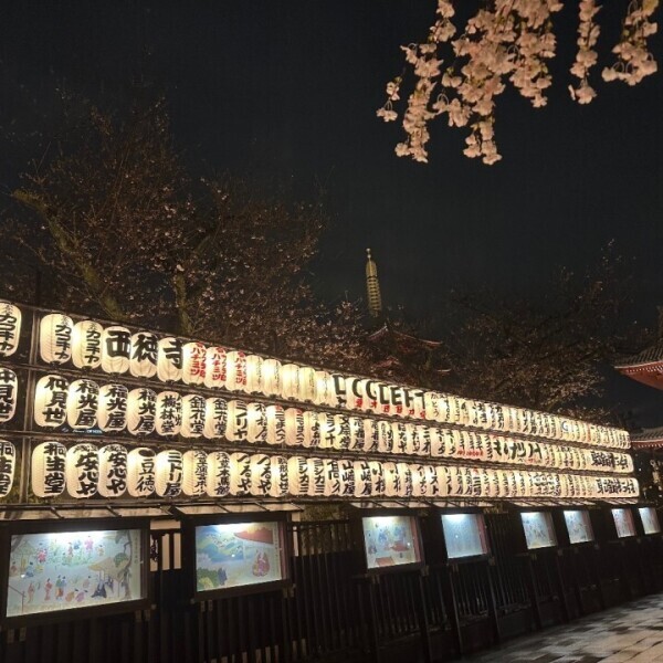 今日います！🫶