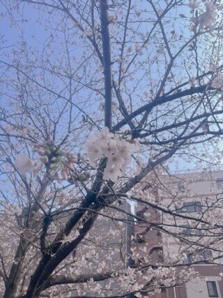 シフト変更しましたー🎀