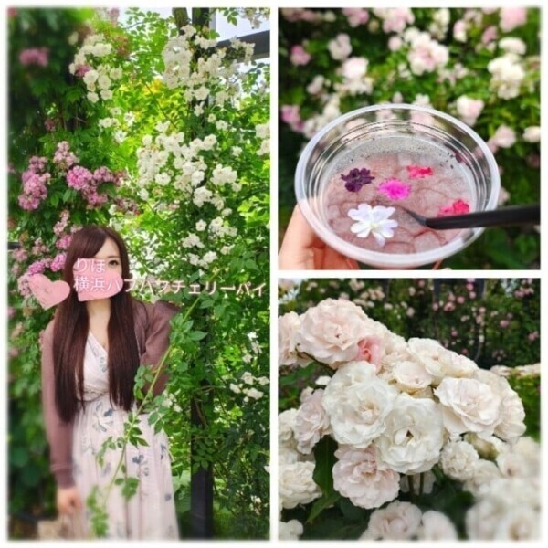 ✨🌹🐷🌹✨