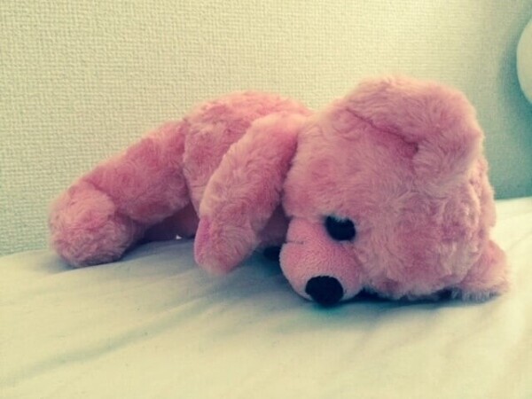 お休みの報告です(›´-`‹ )