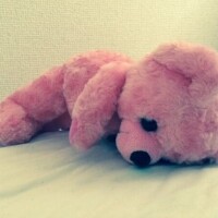 あおい